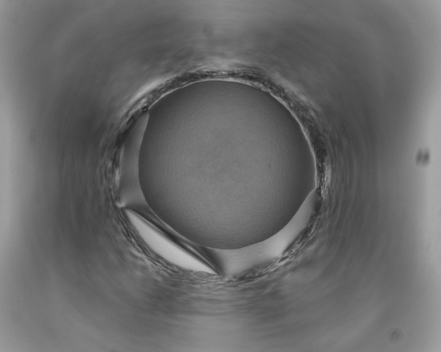 X0000091581206200709051053