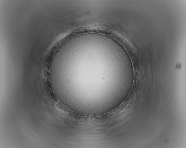 X0000091581207200709051053