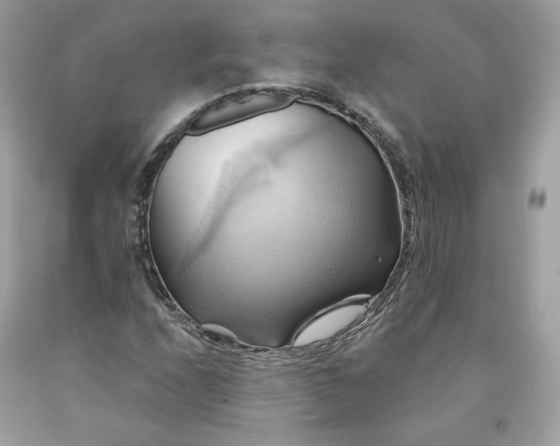 X0000091581208200709051053