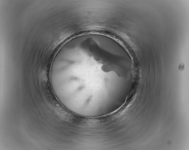 X0000091581209200709051053
