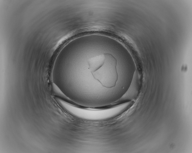 X0000091581210200709051053
