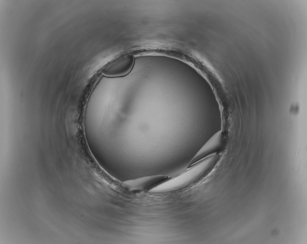 X0000091581213200709051053