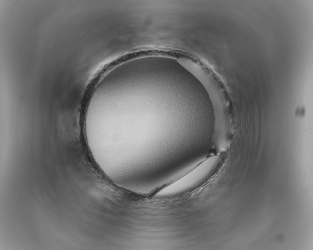 X0000091581214200709051053