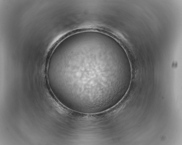 X0000091581216200709051053