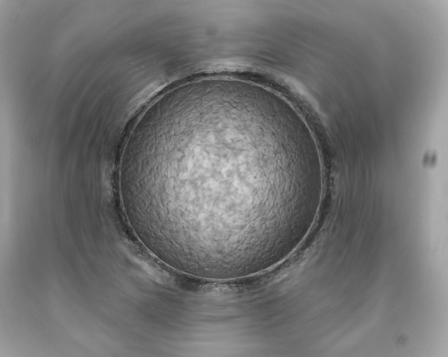 X0000091581217200709051053