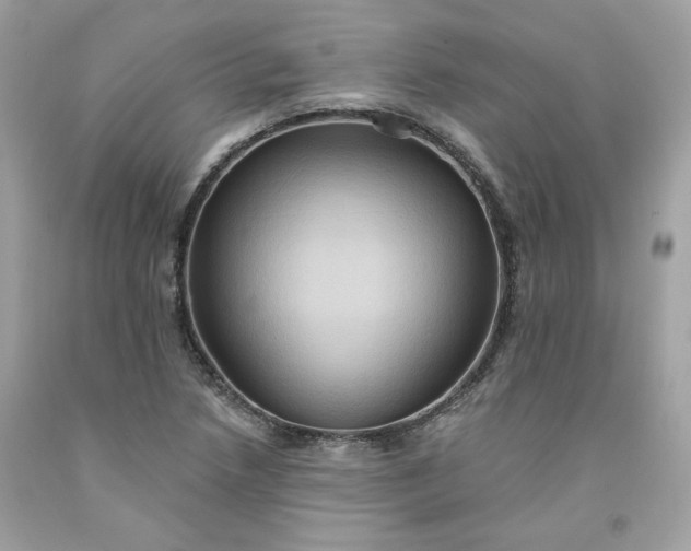 X0000091581218200709051053
