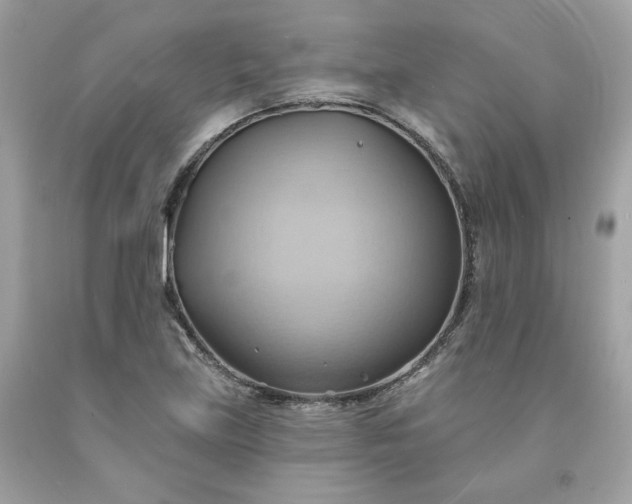 X0000091581219200709051053