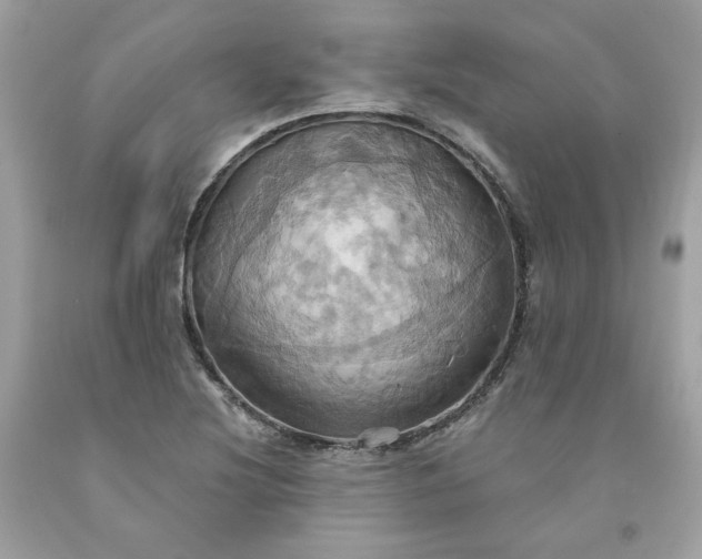 X0000091581220200709051053