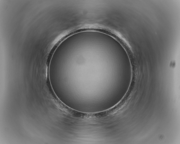 X0000091581221200709051053