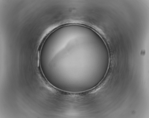 X0000091581223200709051053