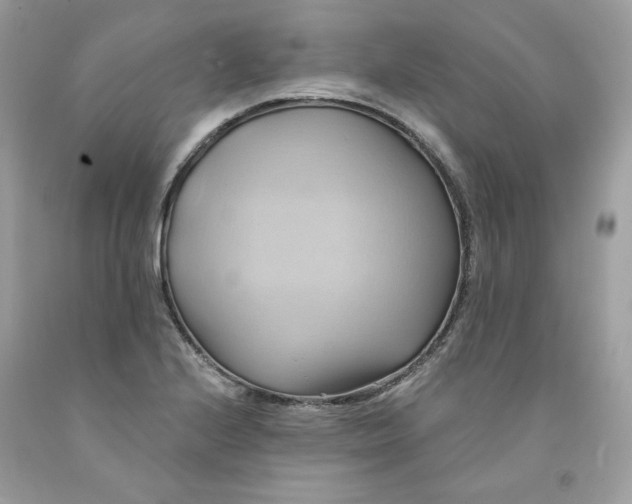 X0000091581224200709051053