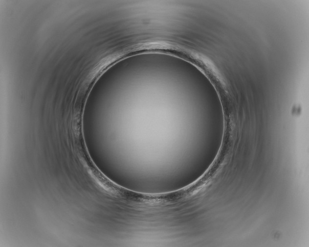 X0000091581225200709051053