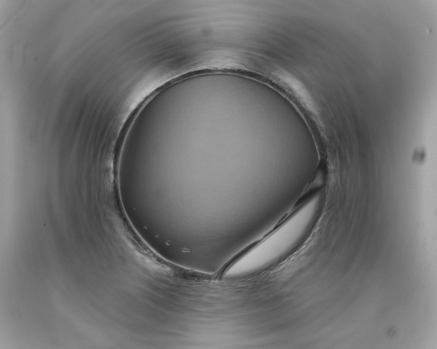X0000091581226200709051053