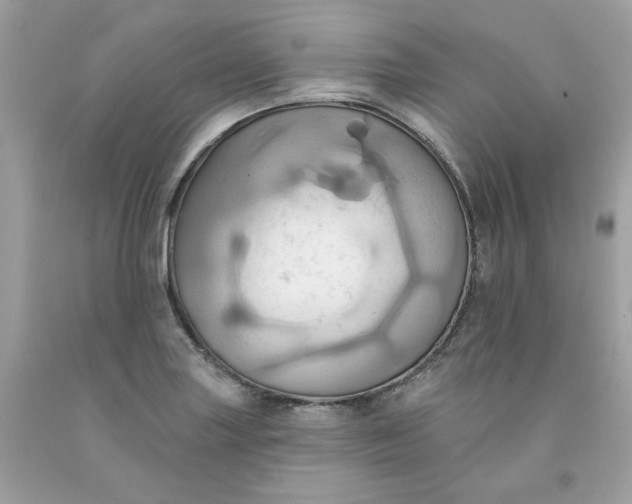 X0000091581227200709051053