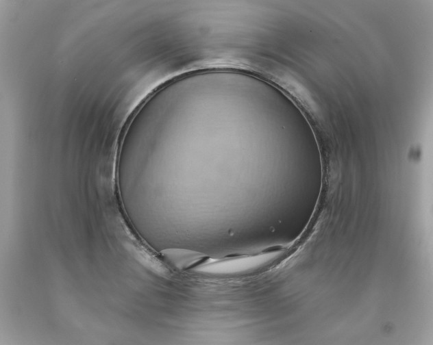 X0000091581228200709051053