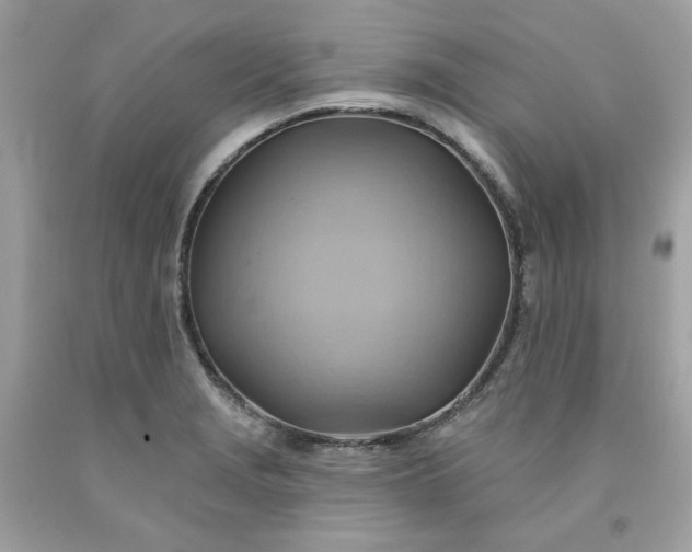 X0000091581229200709051053