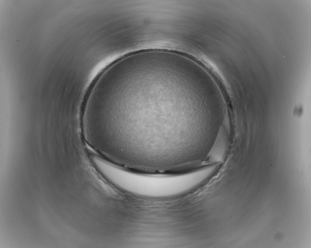 X0000091581230200709051053