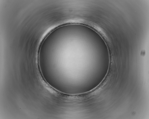 X0000091581232200709051054