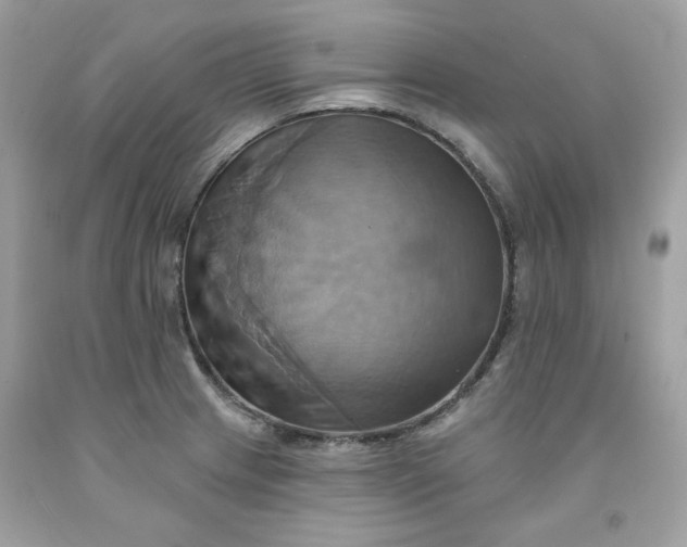 X0000091581233200709051054