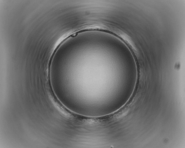 X0000091581234200709051054