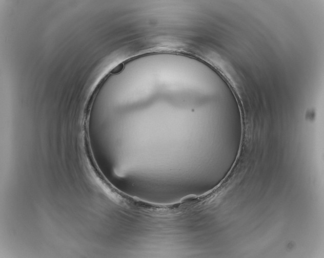 X0000091581235200709051054