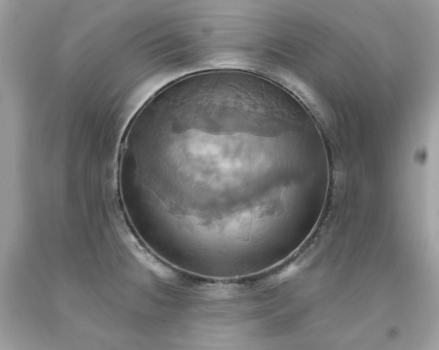 X0000091581236200709051054