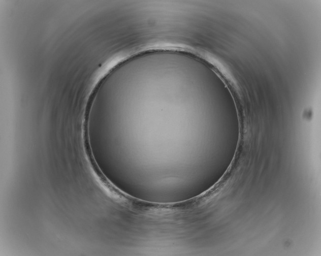 X0000091581237200709051054