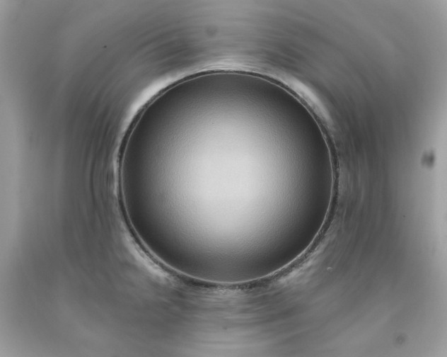 X0000091581238200709051054