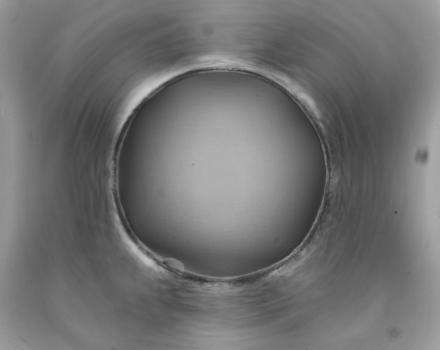 X0000091581239200709051054