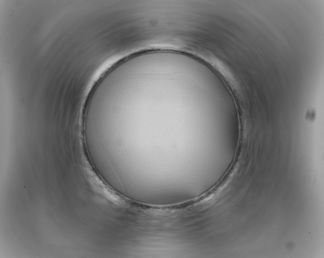 X0000091581240200709051054