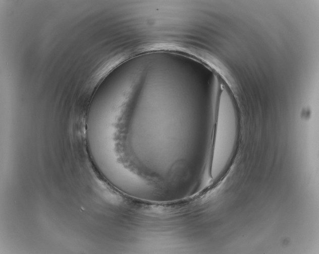 X0000091581241200709051054