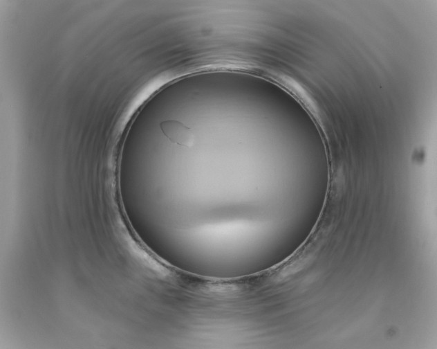 X0000091581243200709051054