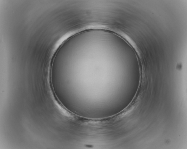 X0000091581245200709051054