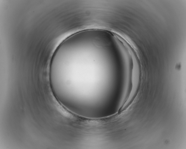 X0000091581246200709051054