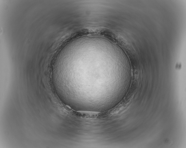 X0000091581249200709051053