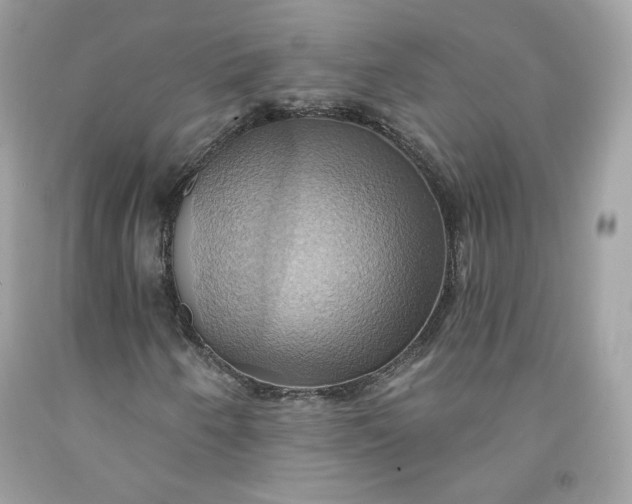 X0000091581250200709051053