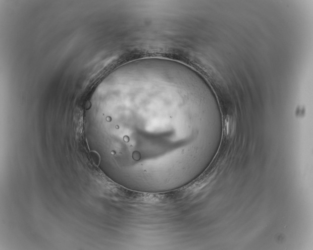 X0000091581251200709051053