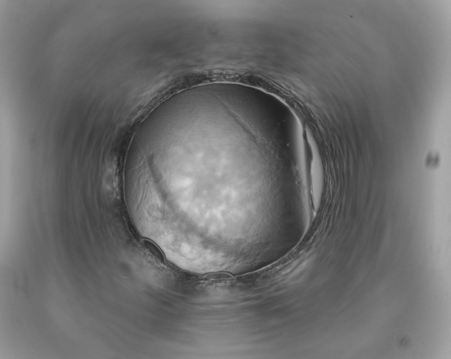 X0000091581252200709051053
