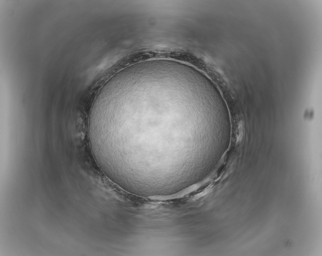 X0000091581253200709051053