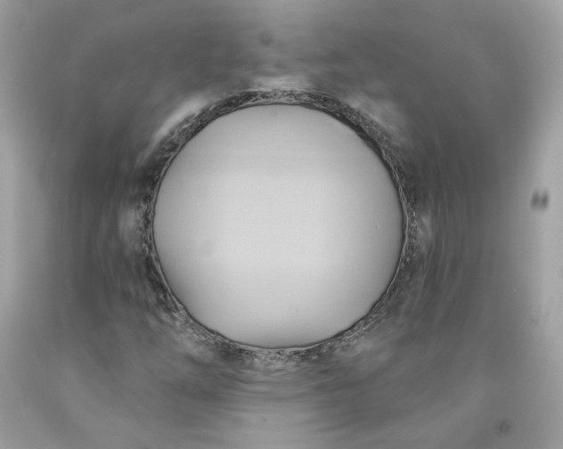 X0000091581254200709051053