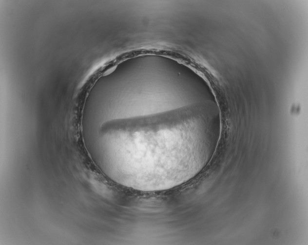 X0000091581256200709051053