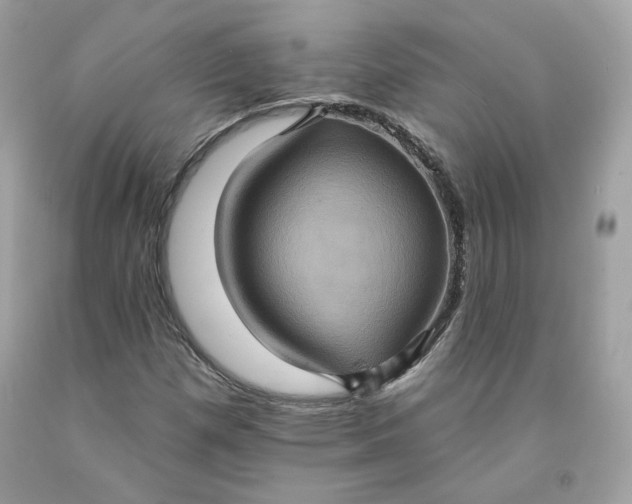X0000091581257200709051053