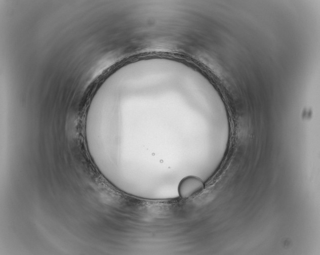 X0000091581258200709051053