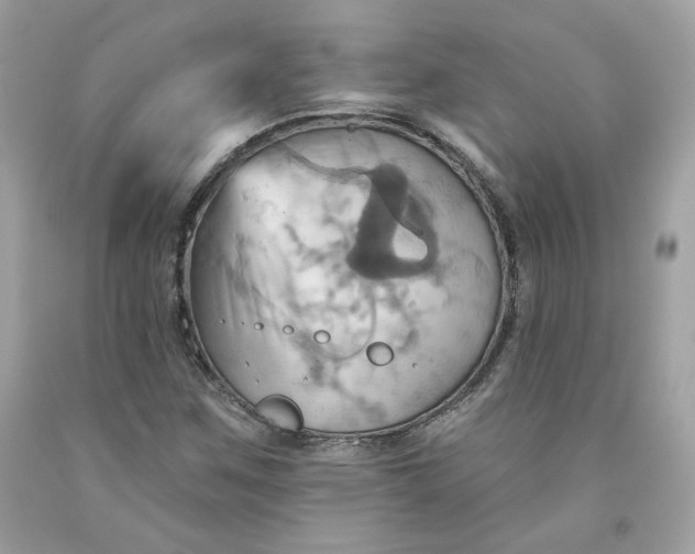 X0000091581259200709051053