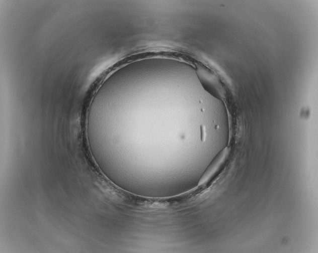 X0000091581261200709051053