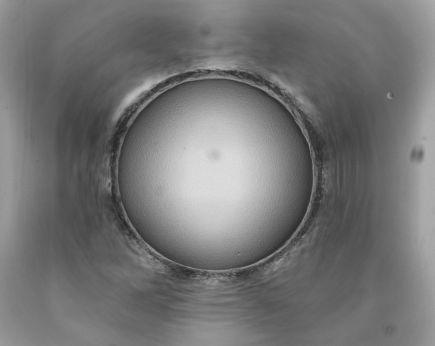 X0000091581262200709051053