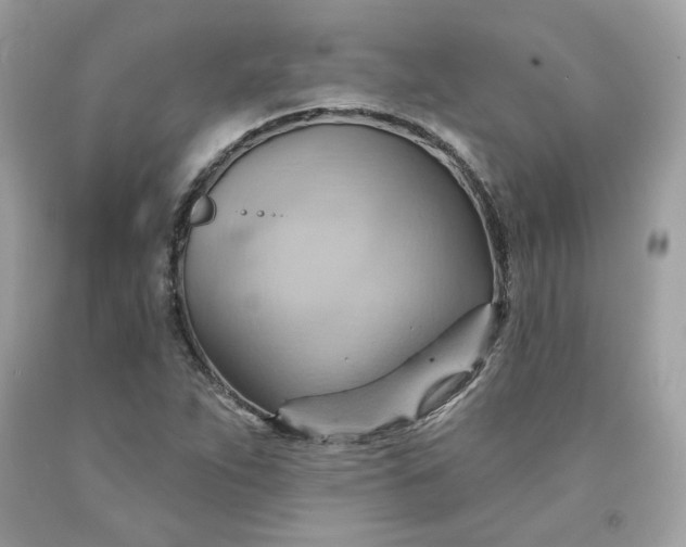 X0000091581263200709051053