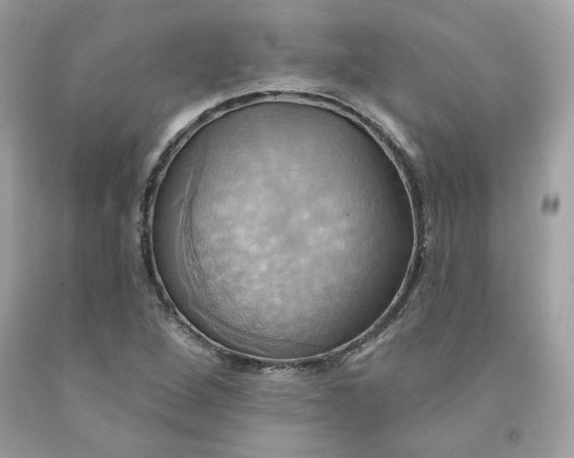 X0000091581264200709051053