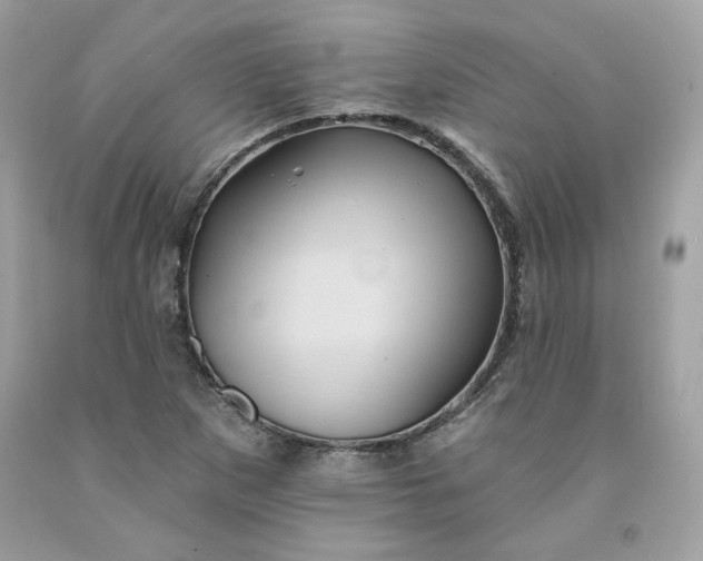 X0000091581265200709051053