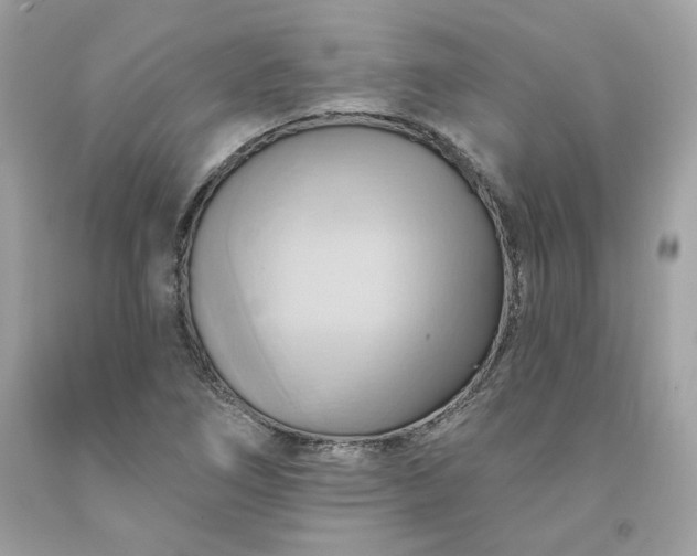 X0000091581266200709051053